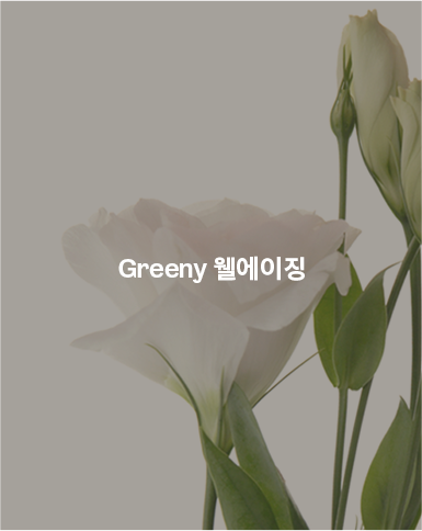 Greeny 웰에이징